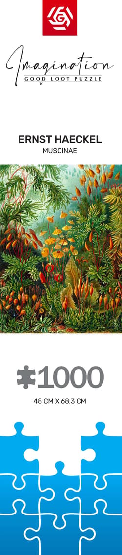 Galeria - zdjęcie nr. 2 - Puzzle 1000 Imagination Ernst Haeckel Muscinae
