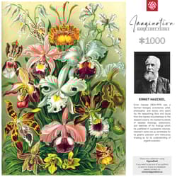 Galeria - zdjęcie nr. 2 - Puzzle 1000 Imagination Ernst Haeckel Orchidea