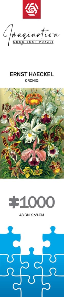Galeria - zdjęcie nr. 3 - Puzzle 1000 Imagination Ernst Haeckel Orchidea