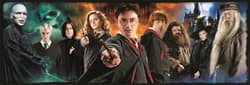 Galeria - zdjęcie nr. 3 - Puzzle 1000 Panorama Compact Harry Potter 39873