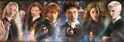 Galeria - zdjęcie nr. 3 - Puzzle 1000 panoramiczne Harry Potter 39639