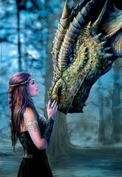 Galeria - zdjęcie nr. 2 - Puzzle 1000 Pewnego razu Anne Stokes 110191