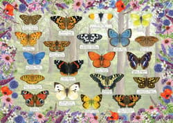 Galeria - zdjęcie nr. 2 - Puzzle 1000 Piękne motyle 112393