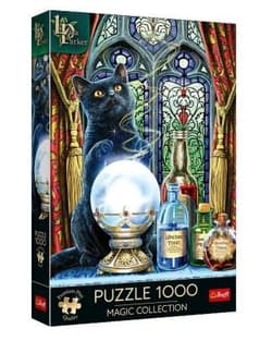 Puzzle 1000 Premium Plus  Magic Collection Uczeń czarownicy 10898
