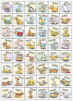 Galeria - zdjęcie nr. 3 - Puzzle 1000 Psia kość!