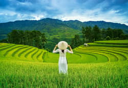 Galeria - zdjęcie nr. 2 - Puzzle 1000 Rice Fields in Vietnam C-105052-2