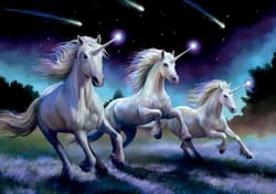 Galeria - zdjęcie nr. 2 - Puzzle 1000 Spadające gwiazdy Anne Stokes 112793