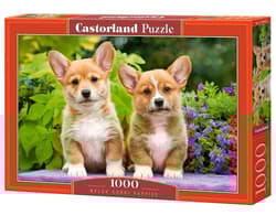 Puzzle 1000 Szczenięta Welsh Corgi C-104659-2