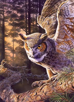 Galeria - zdjęcie nr. 2 - Puzzle 1000 Wieczorny łowca 113559