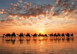 Galeria - zdjęcie nr. 2 - Puzzle 1000 Zachód słońca na Cable Beach Australia 109580