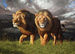 Galeria - zdjęcie nr. 2 - Puzzle 1000 Zbliża się burza 113058