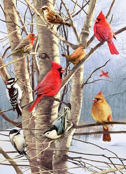 Galeria - zdjęcie nr. 2 - Puzzle 1000 Zimowe ptaki 113558