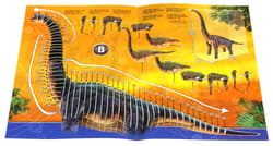 Galeria - zdjęcie nr. 2 - Puzzle 101 3D Dinozaury Brachiozaur 111492