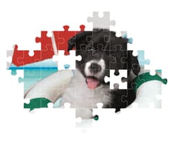 Galeria - zdjęcie nr. 4 - Puzzle 104 Super kolor Sunny Beach 25741