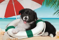Galeria - zdjęcie nr. 3 - Puzzle 104 Super kolor Sunny Beach 25741