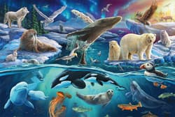 Galeria - zdjęcie nr. 2 - Puzzle 150 Arktyczne zwierzęta 112715