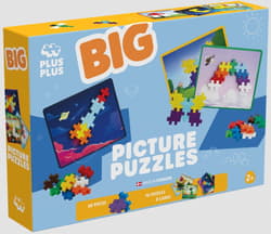Puzzle 16 Big Picture