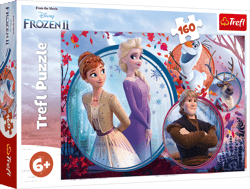 Puzzle 160 Siostrzana przygoda Frozen 2 15374