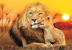 Galeria - zdjęcie nr. 3 - Puzzle 180 Super kolor Unexpected hug 29785