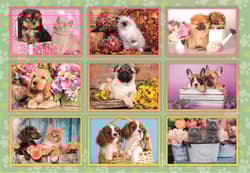 Galeria - zdjęcie nr. 4 - Puzzle 180 Super Puppies Collage 29788