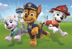 Galeria - zdjęcie nr. 3 - Puzzle 2 x 20 super kolor Paw patrol 24800