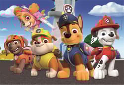 Galeria - zdjęcie nr. 5 - Puzzle 2 x 60 super kolor Paw patrol 21623
