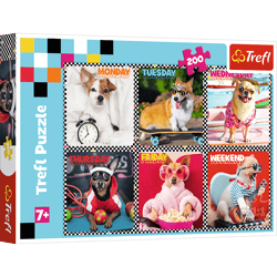 Puzzle 200 Wesołe psy 13279