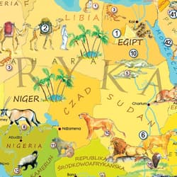 Galeria - zdjęcie nr. 3 - Puzzle 200 Zwierzęta Świata Młodego Odkrywcy