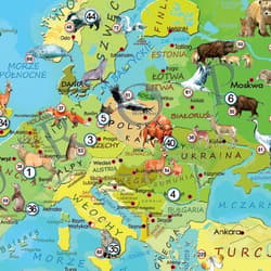 Galeria - zdjęcie nr. 3 - Puzzle 200 Zwierzęta Świata Młodego Odkrywcy