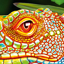 Galeria - zdjęcie nr. 4 - Puzzle 2000 CherryPazzi Amazing Chameleons 50101