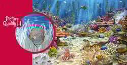 Galeria - zdjęcie nr. 2 - Puzzle 2000 CherryPazzi Coral Reef Paradise 50132