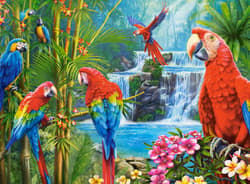Galeria - zdjęcie nr. 2 - Puzzle 2000 Parrot Meeting C-200870-2