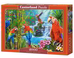 Puzzle 2000 Parrot Meeting C-200870-2