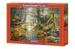 Puzzle 2000 Wspomnienie z jesiennego lasu C-200757-2