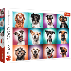 Puzzle 2000 Zabawne psie portrety II 27119