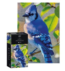 Puzzle 250 Colourful Nature Blue Jay