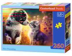 Puzzle 260 New Friendship B-27583-1