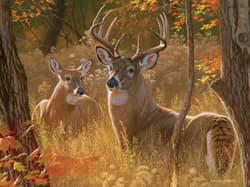 Galeria - zdjęcie nr. 2 - Puzzle 275 XL Urocze rendez-vous 113081