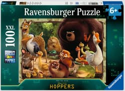 Puzzle 2D 100 Hoopers