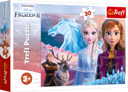 Puzzle 30 Odwaga sióstr Frozen 2 18253