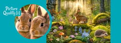 Galeria - zdjęcie nr. 4 - Puzzle 300 CherryPazzi Forest Friends 10136