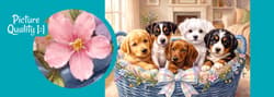 Galeria - zdjęcie nr. 2 - Puzzle 300 CherryPazzi  Sweet Five 10020