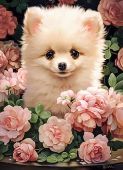 Galeria - zdjęcie nr. 2 - Puzzle 300 Pomeranian Puppy in Roses B-030552