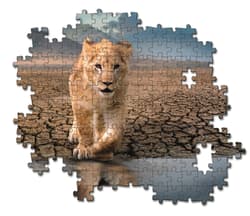 Galeria - zdjęcie nr. 2 - Puzzle  300 Super Self Reflection 21719