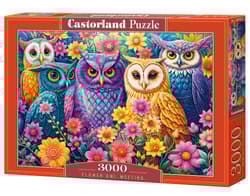 Puzzle 3000 Flower Owl Meeting C-300723-2