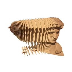 Galeria - zdjęcie nr. 2 - Puzzle 3D David Cartonic
