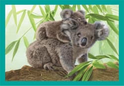 Galeria - zdjęcie nr. 2 - Puzzle 4 w 1 Super Kolor Baby Cuddles 21532