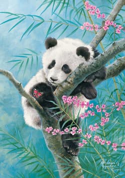 Galeria - zdjęcie nr. 2 - Puzzle 500 Bamboo Dreams B-53865