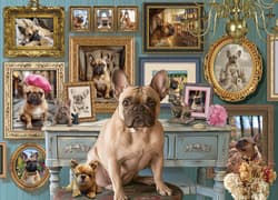 Galeria - zdjęcie nr. 2 - Puzzle 500 Buldog francuski 113529