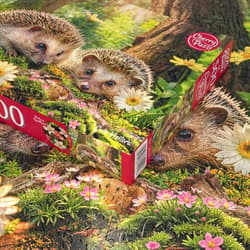 Galeria - zdjęcie nr. 4 - Puzzle 500 CherryPazzi Cute Visitors 20227